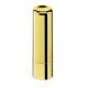 Protector labial Scarlett Ref.PS94880-DORADO 