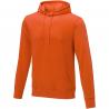 Sudadera con capucha para hombre Charon