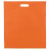 Bolsa non-woven alta frecuencia 80g/m2