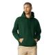 Sudadera con capucha midweight softstyle Ref.TTGISF500-BOSQUE VERDE